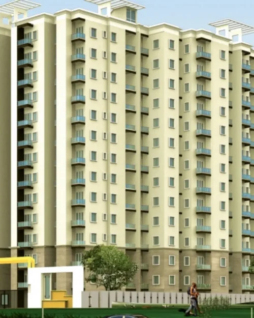 Confident Leo-Bangalore