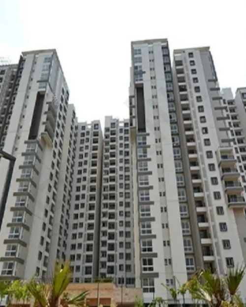 Salarpuria senorita-Bangalore