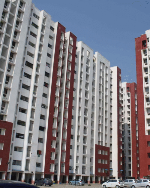 Marg Pushpadruma - Chennai