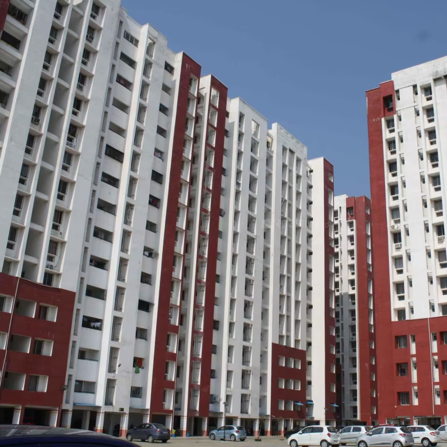 Marg Pushpadruma - Chennai