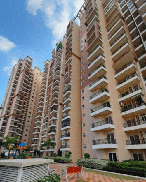 Jasmine Grove - Delhi