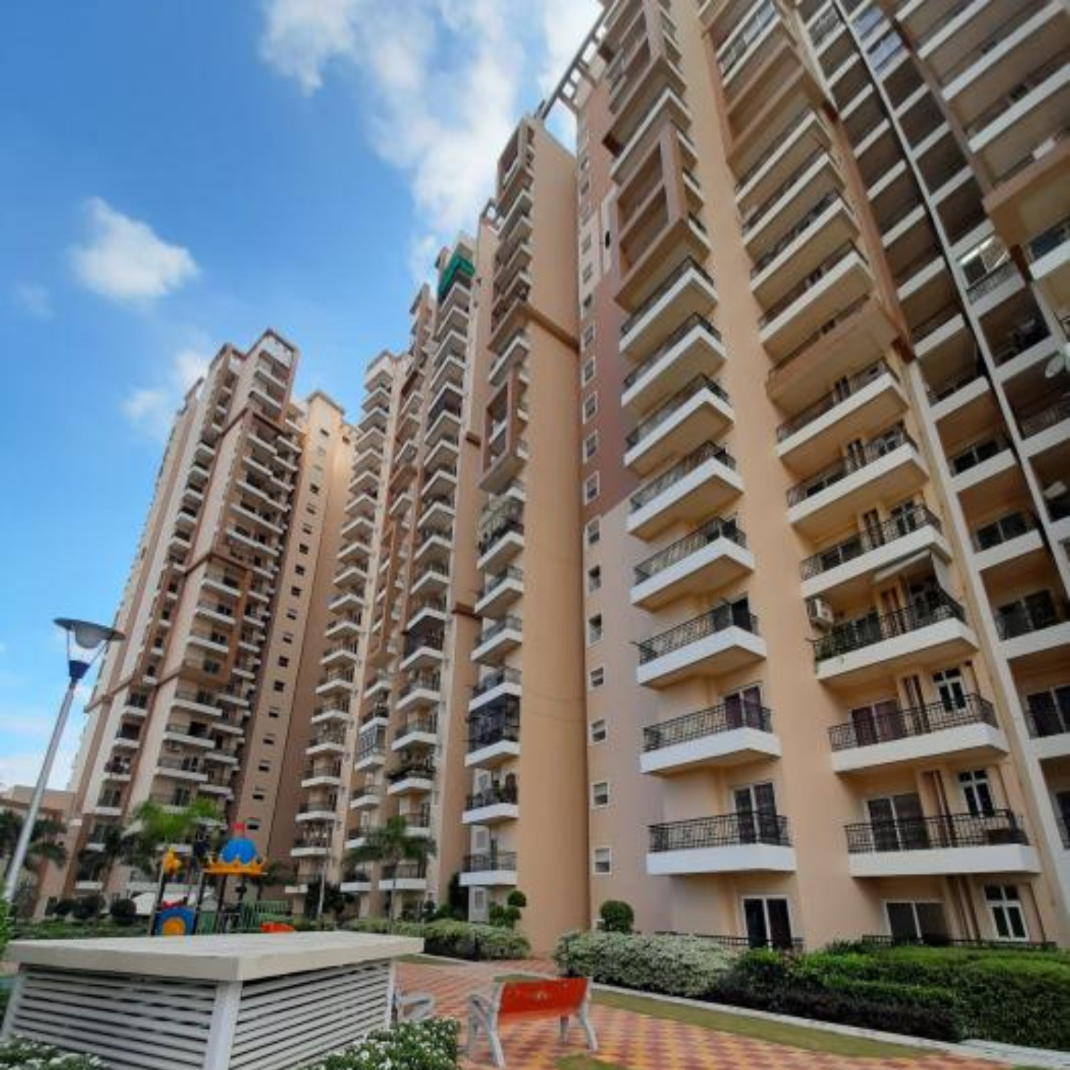 Jasmine Grove - Delhi