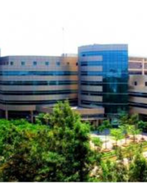 Cyber Tech Park - Bangalore