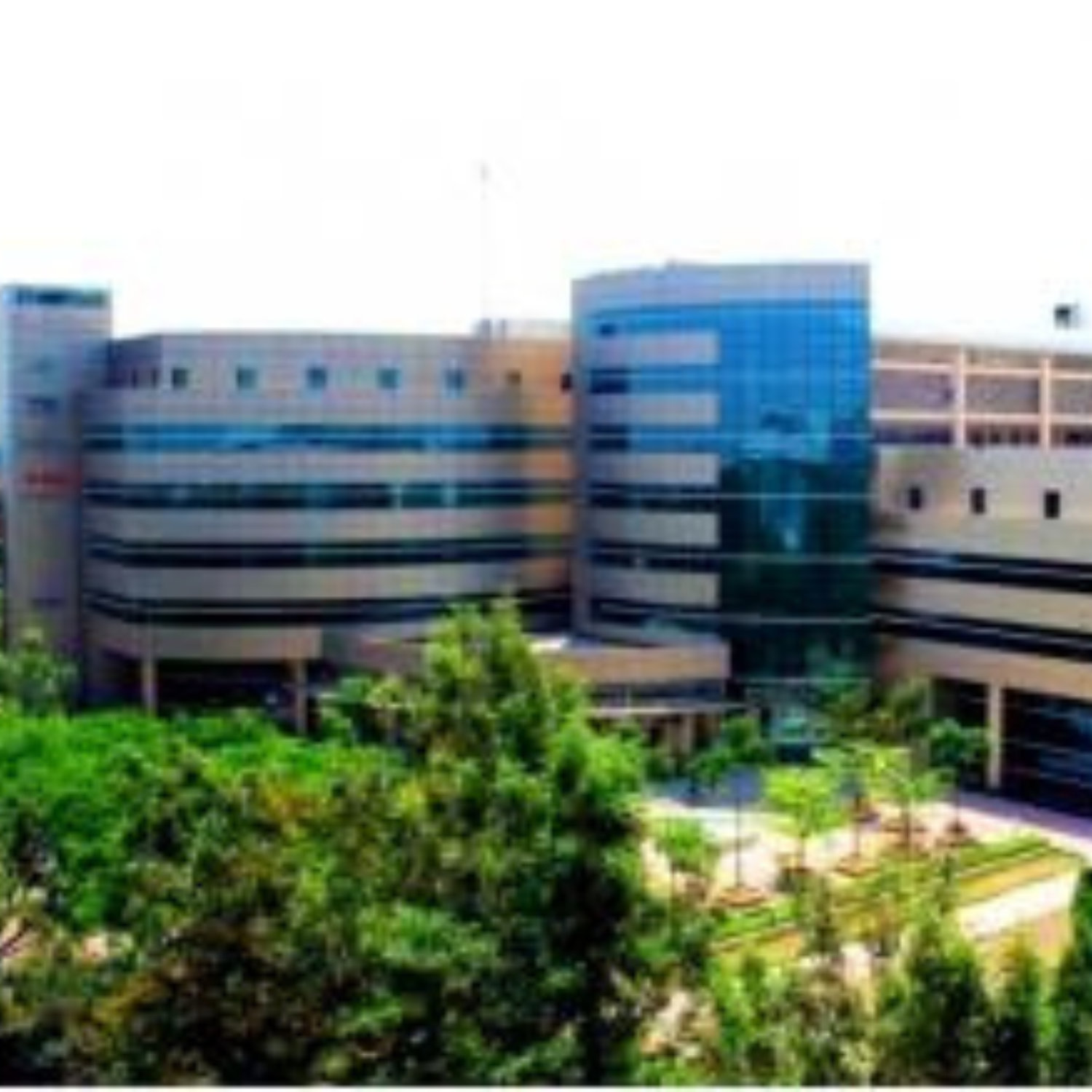 Cyber Tech Park - Bangalore